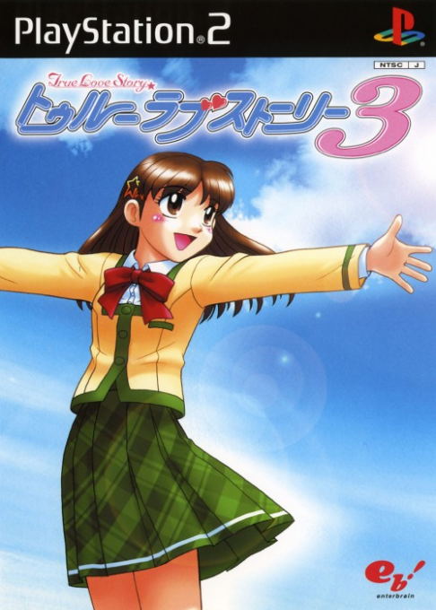 True Love Story 3 box art