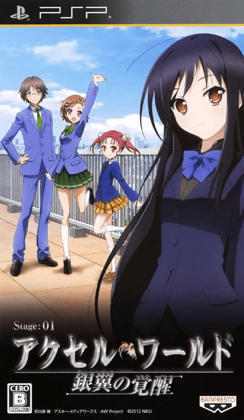 Accel World - Ginyoku No Kakusei box art