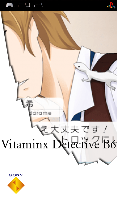 Vitaminx Detective B6 — box-2D (SS)