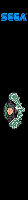 Cabbage Patch Kids — box-2D-side (TW)