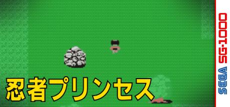 Ninja Princess — steamgrid