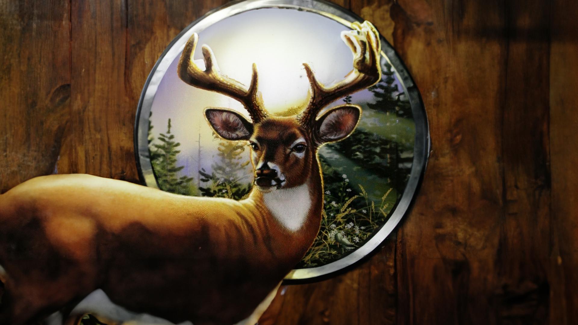 Big Buck Hunter Pro — fanart
