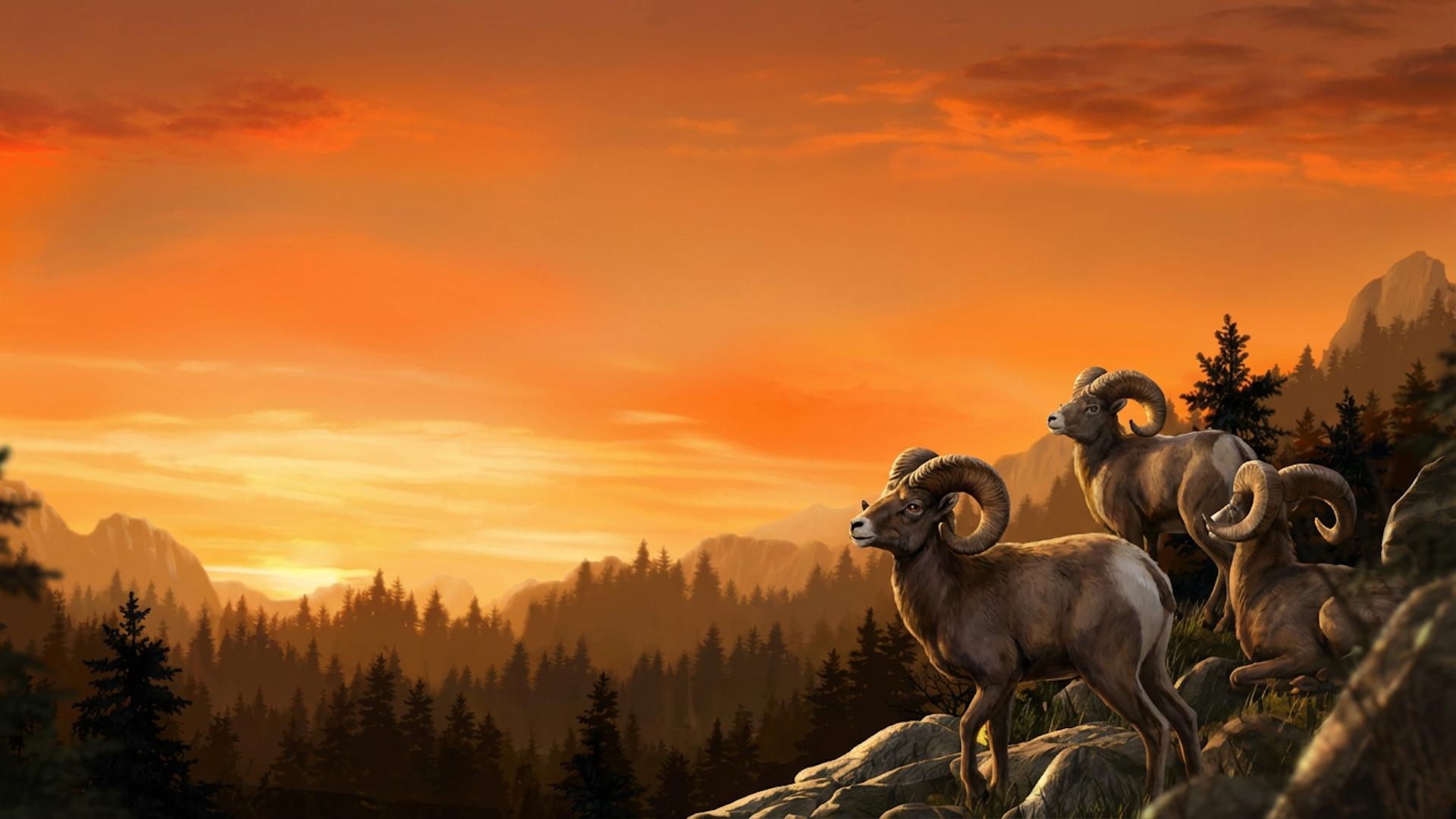 Cabela's Big Game Hunter 2010 — fanart