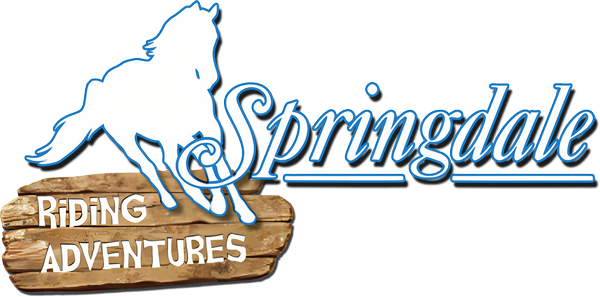 Springdale — wheel (EU)