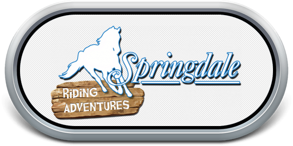 Springdale — wheel-steel (EU)