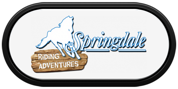 Springdale — wheel-carbon (EU)