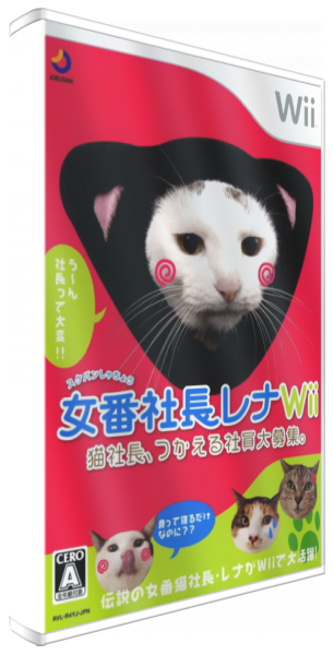 Sukeban Shachou Rena Wii — box-3D (JP)