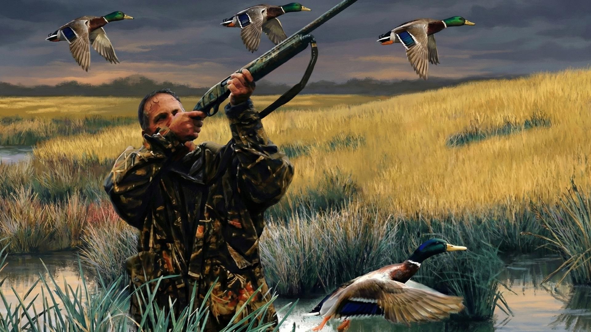 Ultimate Duck Hunting — fanart