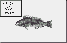 Wonderswan Handy Sonar — ss (JP)