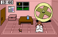 Dokodemo Hamster 3 - Odekake Saffron — ss (WOR)