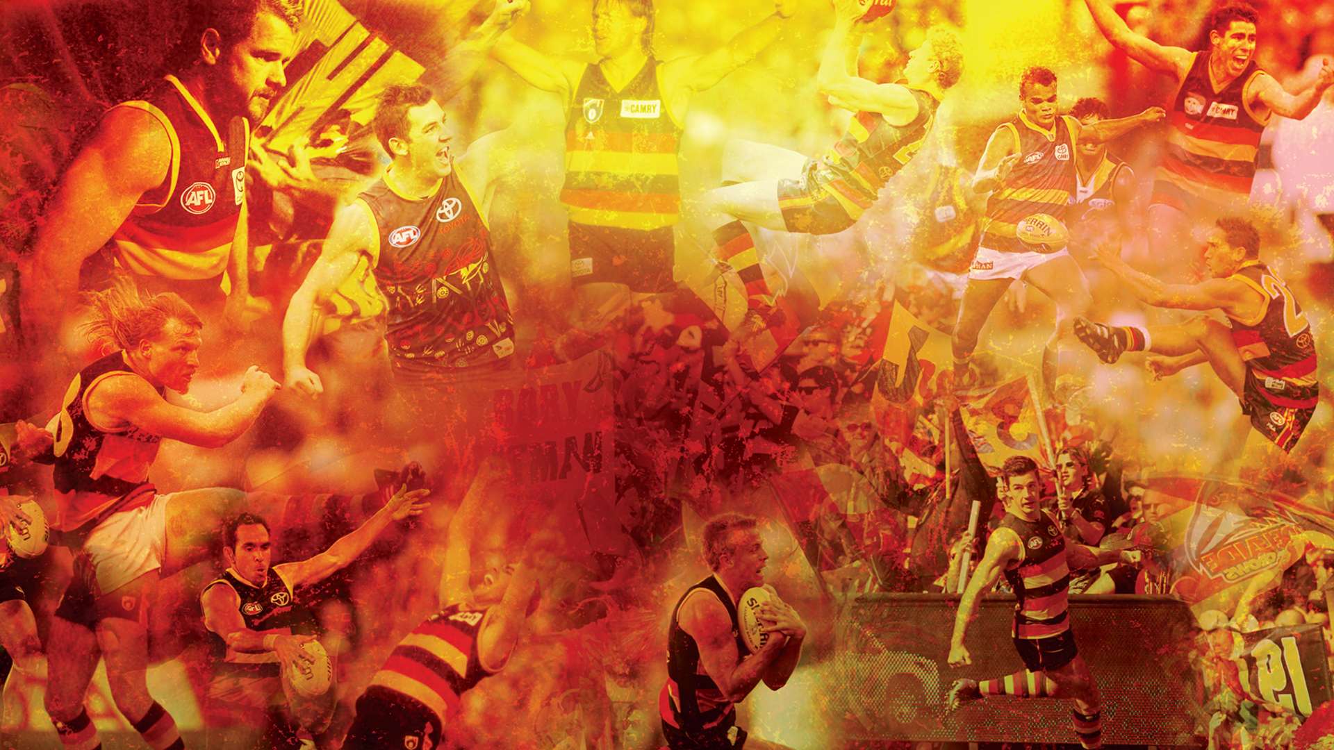AFL Live 2003 — fanart