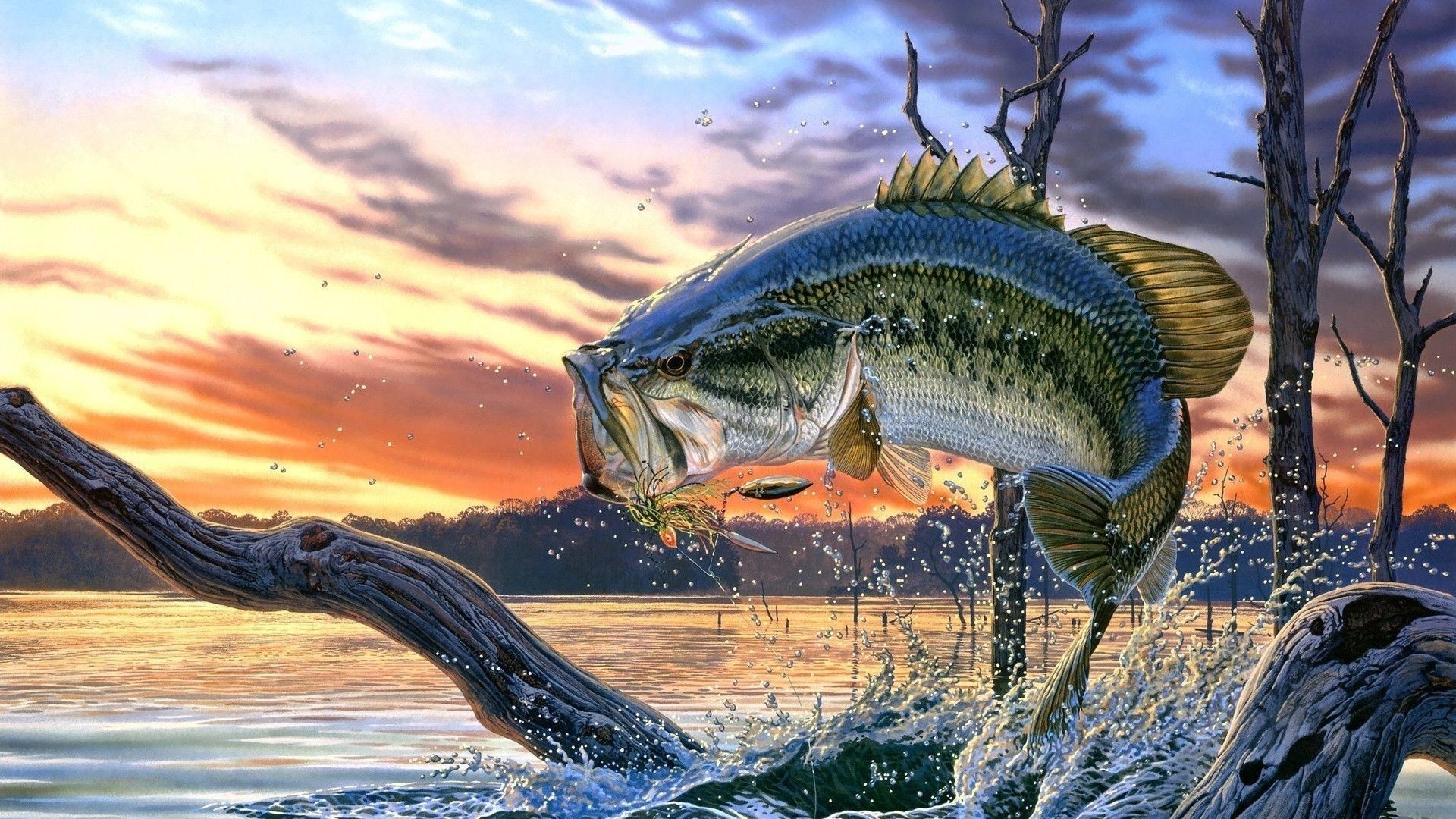 Bass Pro Shops : Trophy Bass 2007 — fanart