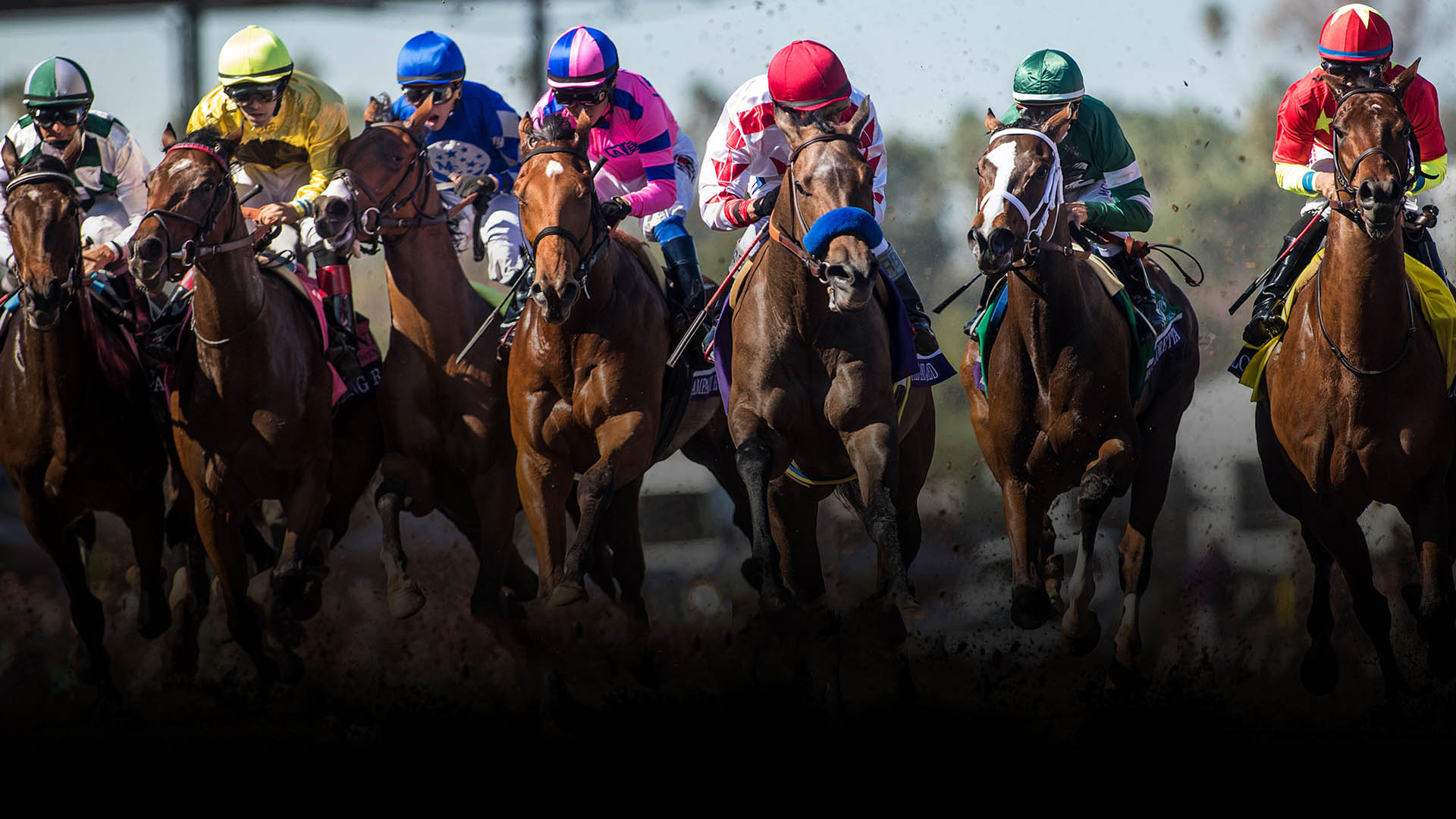 Breeders' Cup - World Thoroughbred Championships — fanart