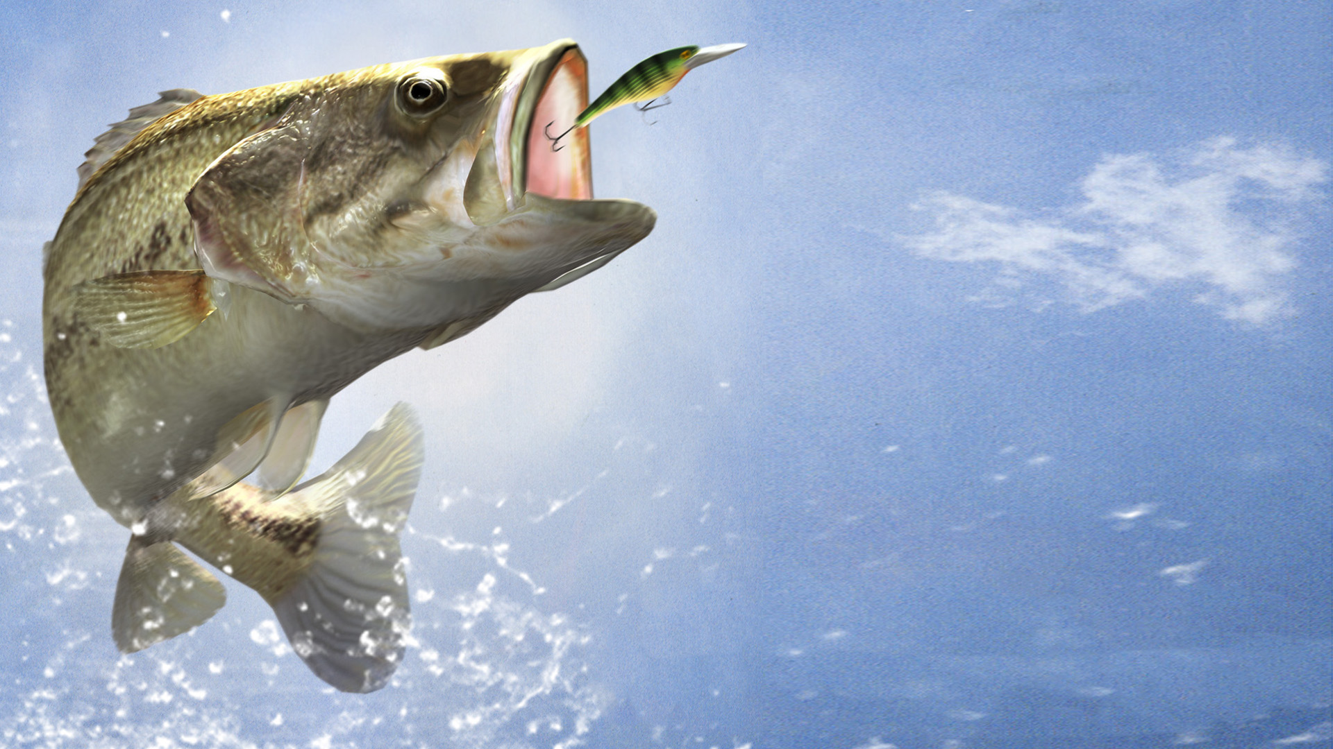Pro Fishing Challenge — fanart