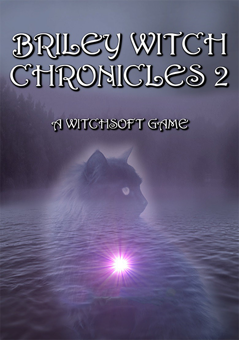 Briley Witch Chronicles 2 box art