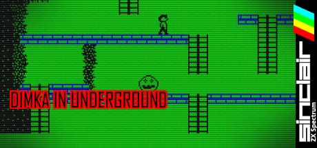 Dimka In Underground — steamgrid