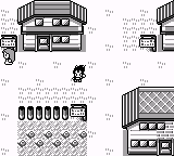 Pokemon : Z version — ss (WOR)