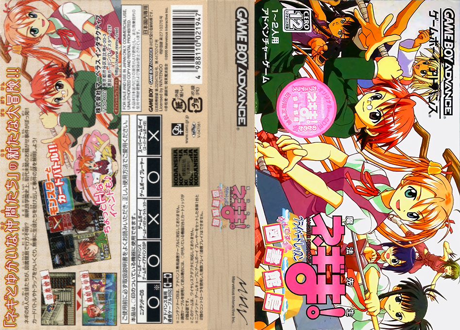 Mahou Sensei Negima! - Private Lesson - Damedesuu Toshokan-jima — box-texture (JP)
