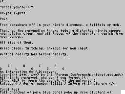 ZxZvm - Delusions - An Interactive Self Discovery — ss (WOR)