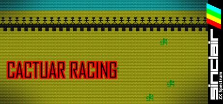 Cactuar Racing — steamgrid