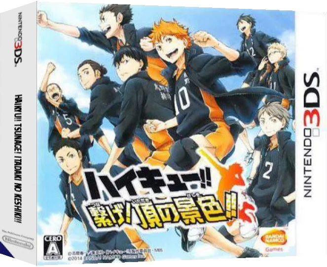 Haikyu!! Tsunage! Itadaki no Keshiki!! — box-3D (JP)