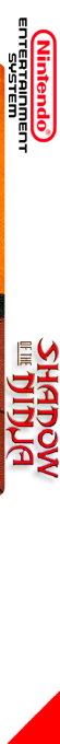 Shadow Of The Ninja — box-2D-side (FR)