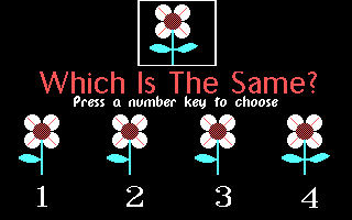 Same or Different — ss (WOR)