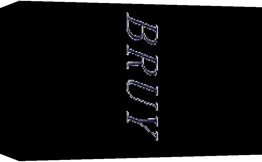 Bury — box-3D (WOR)