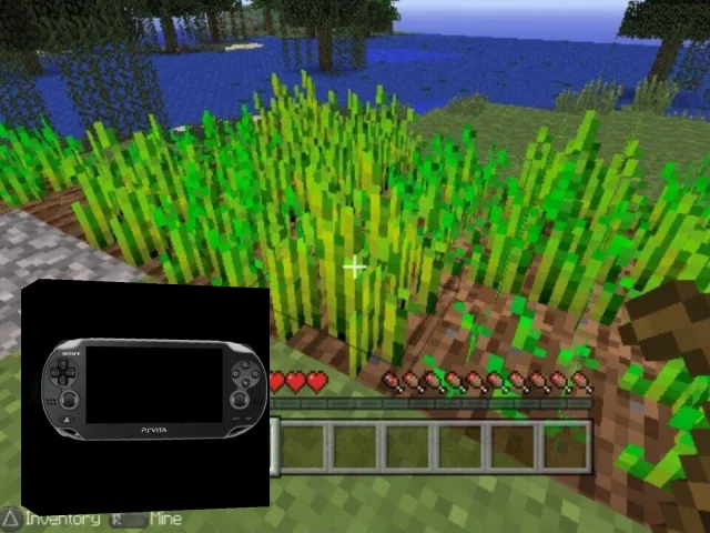 Minecraft - Playstation Vita Edition — mixrbv2 (EU)