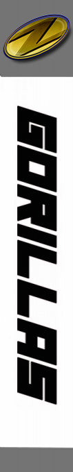 Gorillas — box-2D-side (SS)
