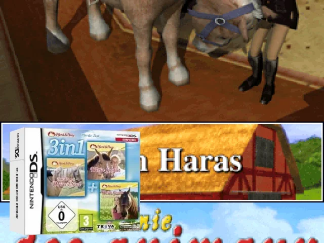 3 in 1 - My Riding Stables - Life with Horses + My Pet Hotel 2 & + My Pet School — mixrbv2 (EU)