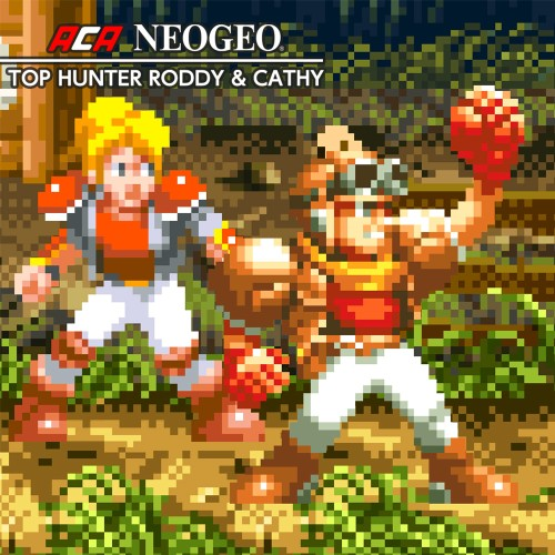 Aca Neogeo Top Hunter Roddy & Cathy — support-texture (CUS)