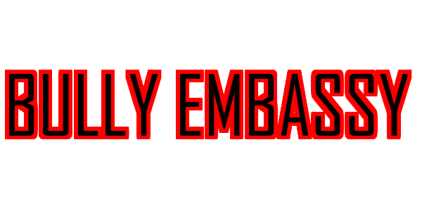 Bully Embassy — wheel-hd (SS)