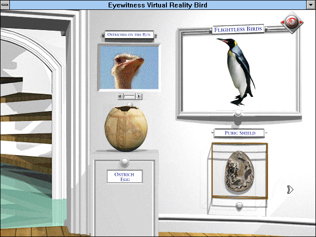 Eyewitness Virtual Reality: Bird — ss (WOR)