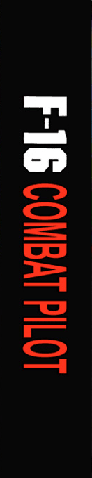 F-16 Combat Pilot — box-2D-side (SP)