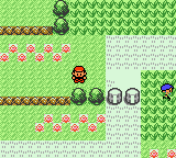 Pokemon Secrets and Rumors — ss (WOR)
