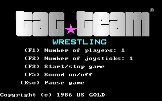 Tag Team Wrestling — sstitle (US)