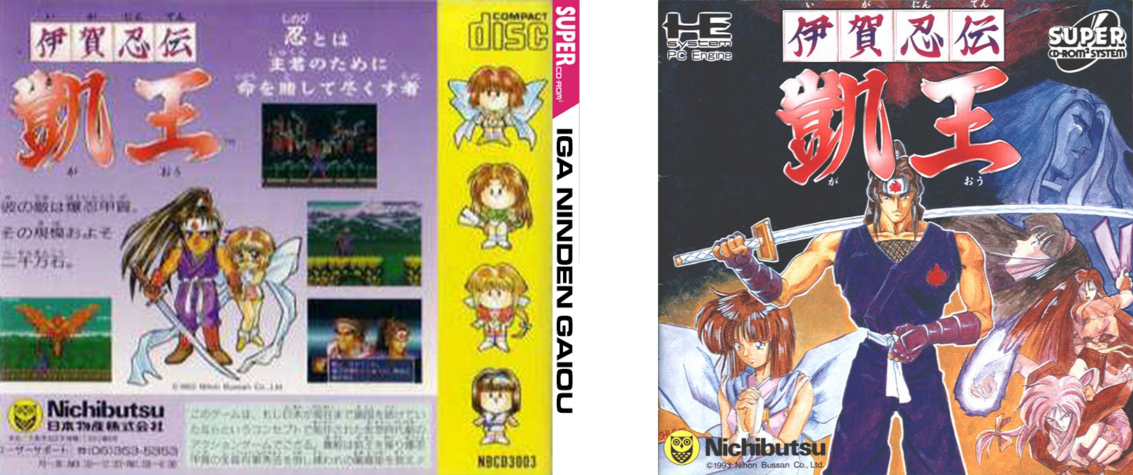 Iga Ninden Gaiou — box-texture (JP)