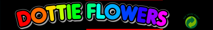 Dottie Flowers — box-2D-side (SS)