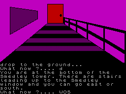 The Loony Castle Quest — ss (WOR)