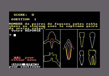 Core Squelette — ss (EU)