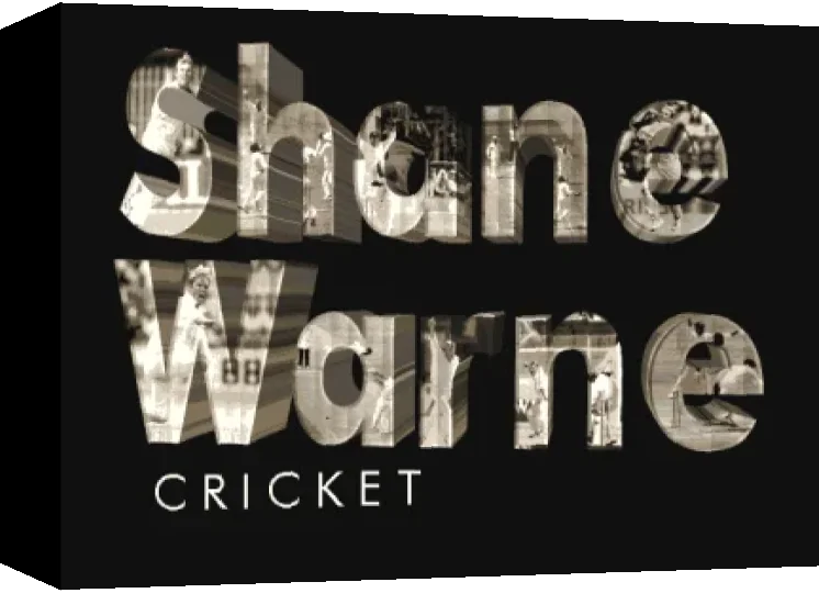 Shane Warne Cricket — box-3D (WOR)