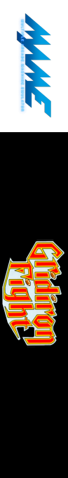Gridiron Fight — box-2D-side (WOR)