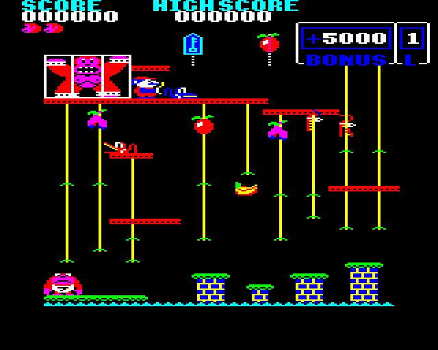 Donkey Kong Junior — ss (WOR)