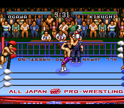 Zen Nippon Pro Wrestling — ss (JP)