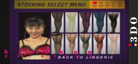 Oneesan to Issho! Kisekae Paradise — steamgrid