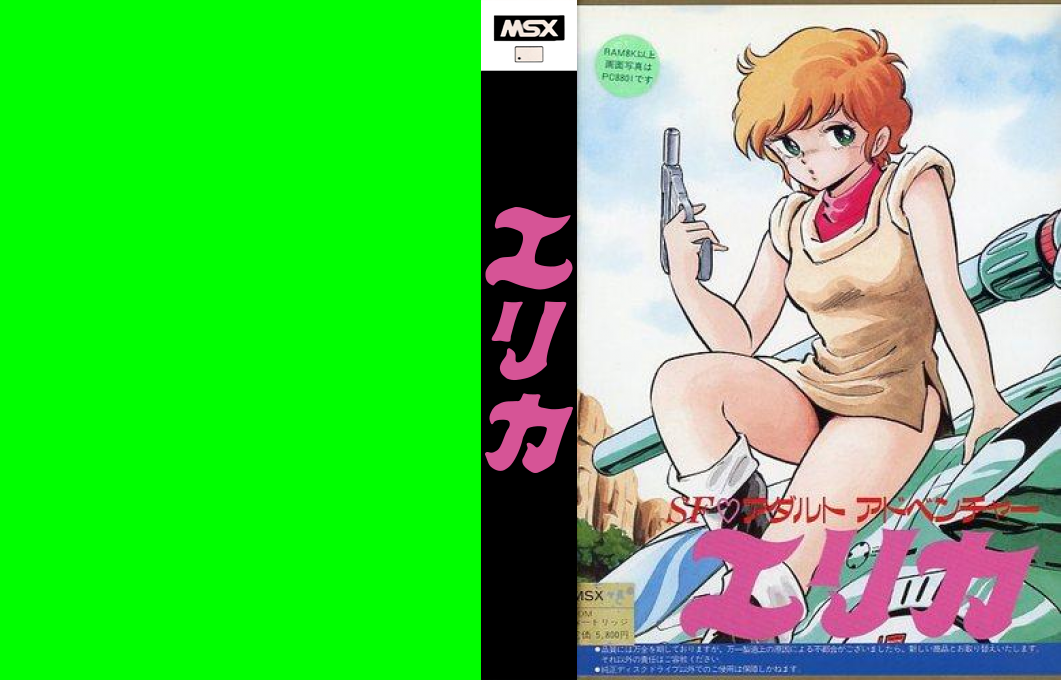 Erika — box-texture (JP)