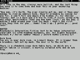 ZxZvm - Busted! - Psychedelic Interactive Fiction — ss (WOR)