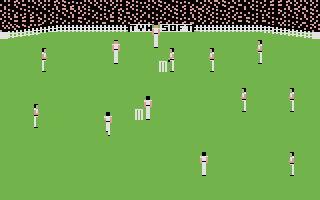 Ian Botham's Test Match — ss (WOR)