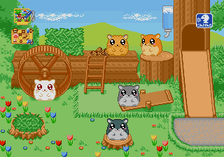 Doubutsu Pico - Hamster Land — ss (JP)